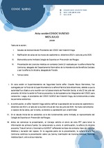 Acta COSOC SUSESO Julio 2020.pdf
