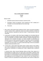 Acta COSOC SUSESO enero 2021.pdf
