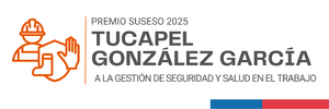Premio Tucapel González García