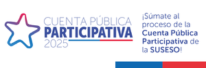Cuenta Publica 2024