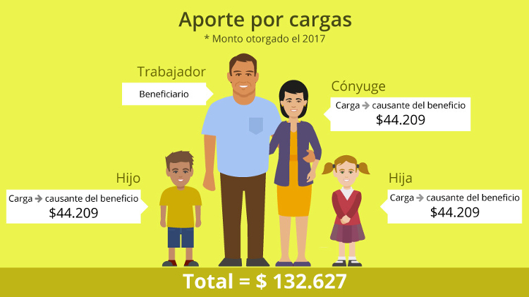 Montos otorgados por carga en 2017