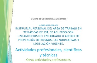 Unidad de Competencia Laboral 1 - Monitor de SST