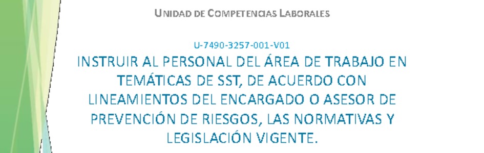 Unidad de Competencia Laboral 1 - Monitor de SST