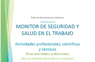 Perfil del Monitor de SST