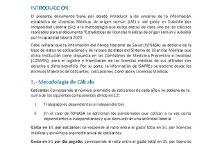 Metodología LM & SIL año 2020