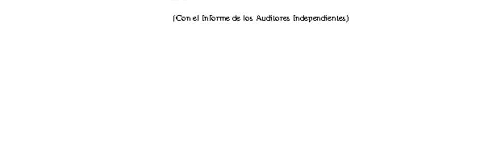 Los Andes: Estados financieros al 31 de diciembre de 2013