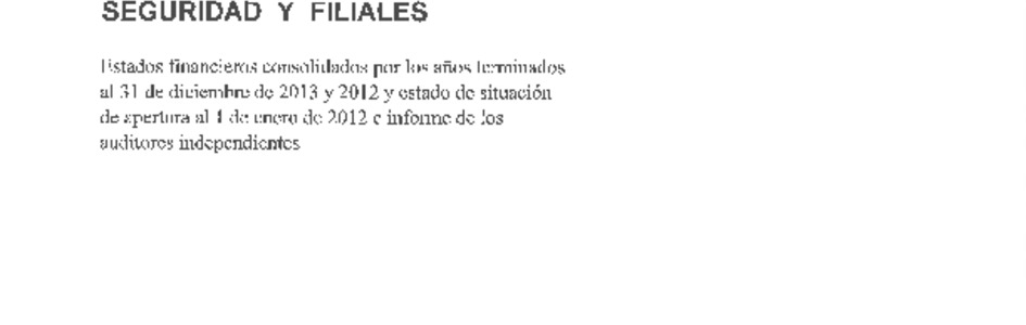 ACHS: Estados financieros consolidados al 31 diciembre de 2013