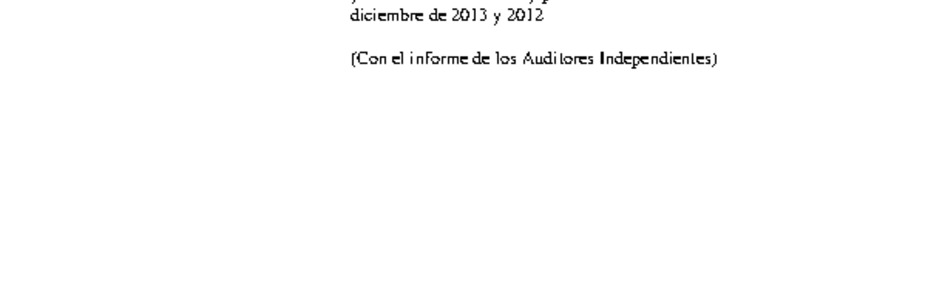 MUSEG CCHC: Estados financieros individuales al 31 de diciembre de 2013