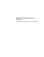 MUSEG CCHC - Estados financieros consolidados al 30 de junio de 2014
