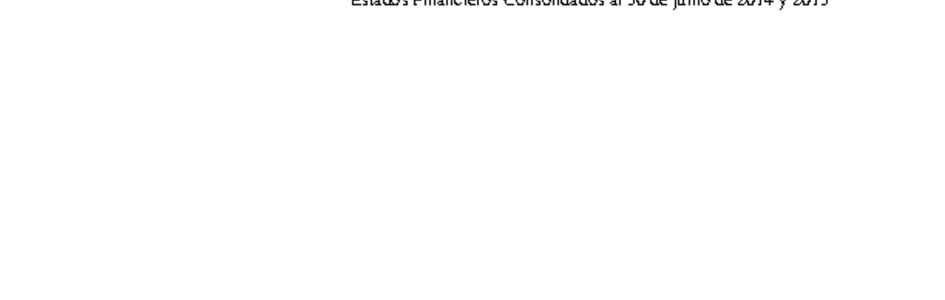 MUSEG CCHC - Estados financieros consolidados al 30 de junio de 2014