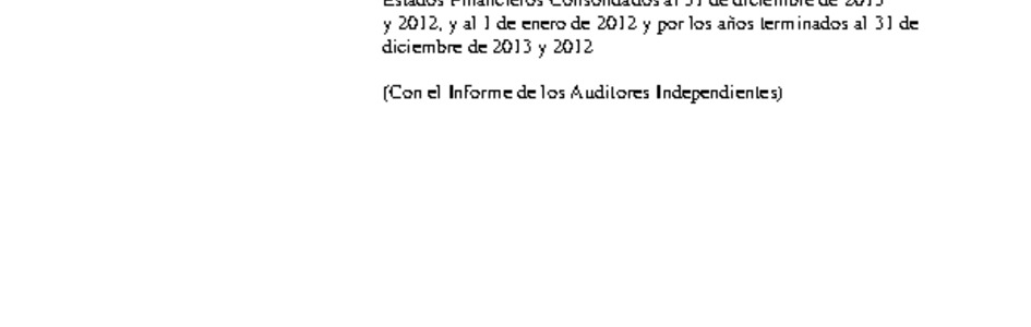 MUSEG CCHC: Estados financieros consolidados al 31 de diciembre de 2013