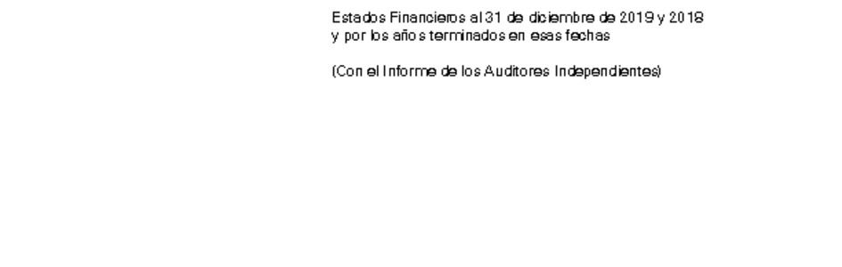 Estados financieros consolidados al 31 de diciembre de 2019 y 2018