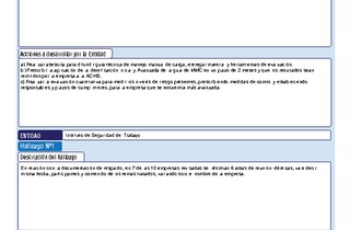 Informe de fiscalización 17-2021/47