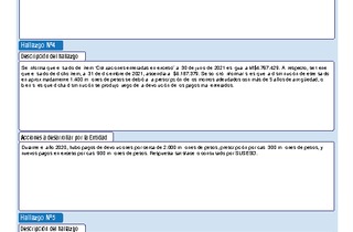 Informe de fiscalización 37-2021/IFE53