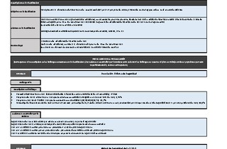 Informe de fiscalización 23-2023/IFE20