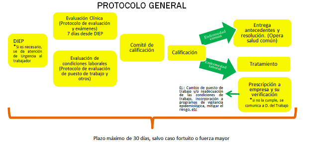 Prevención de riesgos laborales: Protocolo general