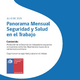 Panorama Mensual Seguridad y Salud en el Trabajo julio 2015