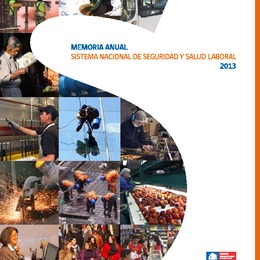 Memoria Anual del Sistema Nacional de Seguridad y Salud Laboral 2013