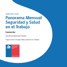 Panorama Mensual Seguridad y Salud en el Trabajo mayo 2016