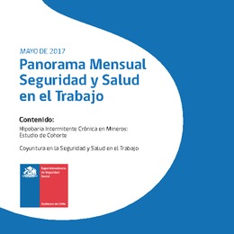 Panorama Mensual Seguridad y Salud en el Trabajo mayo 2017