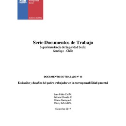 Documento 11: Evolución y desafíos del padre trabajador en la corresponsabilidad parental