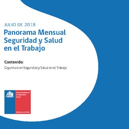 Panorama Mensual Seguridad y Salud en el Trabajo julio 2018