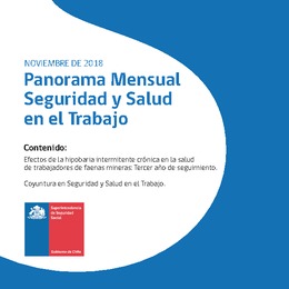 Panorama Mensual Seguridad y Salud en el Trabajo noviembre 2018