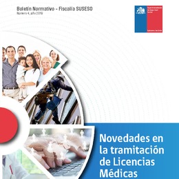 Versión PDF Boletín Normativo Nº 4