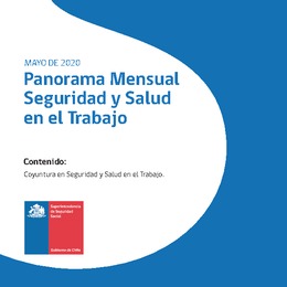 Panorama Mensual Seguridad y Salud en el Trabajo mayo 2020.