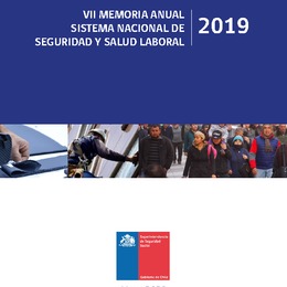 VII MEMORIA ANUAL SISTEMA NACIONAL DE SEGURIDAD Y SALUD LABORAL DEL AÑO 2020