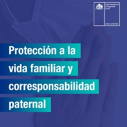 Boletín SUSESO n° 3 de 2020: Protección a la vida familiar y corresponsabilidad paternal