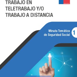 Minuta Temática de Seguridad Social: Accidentes del Trabajo en Teletrabajo y/o Trabajo a Distancia, año 2020.