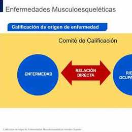 Calificación de enfermedades músculo esqueléticas