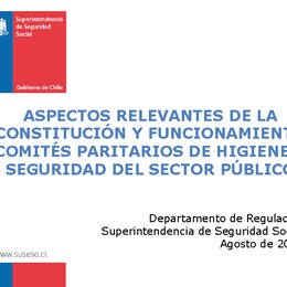 Aspectos relevantes de la constitución y funcionamiento de los Comités Paritarios de Higiene y Seguridad del Sector Público