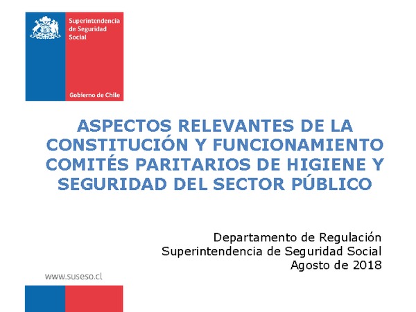 Aspectos relevantes de la constitución y funcionamiento de los Comités Paritarios de Higiene y Seguridad del Sector Público