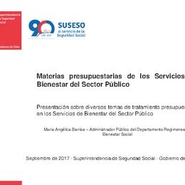 Materias presupuestarias de los Servicios de Bienestar del Sector Público