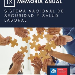 IX MEMORIA ANUAL SISTEMA NACIONAL DE SEGURIDAD Y SALUD LABORAL DEL AÑO 2021