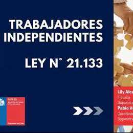 Trabajadores Independientes Ley N°21.133