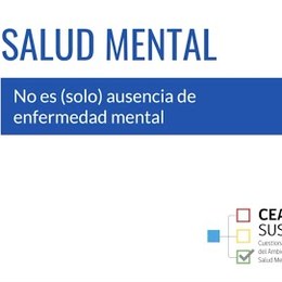 Cápsulas CEAL-SM N° 1: Salud Mental