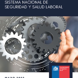 X MEMORIA ANUAL SISTEMA NACIONAL DE SEGURIDAD Y SALUD LABORAL DEL AÑO 2022