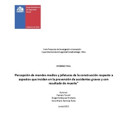 Percepción de mandos medios y jefaturas de la construcción respecto a aspectos que inciden en la prevención de accidentes graves y con resultado de muerte.