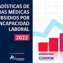 Informe Anual: Estadísticas Licencias Médicas y SIL 2022