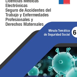 Minuta Temática de Seguridad Social: COVID-19. Licencias Médicas Electrónicas, Seguro de Accidentes del Trabajo y Enfermedades Profesionales y Derechos Maternales