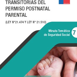 Minuta Temática de Seguridad Social: Extensiones transitorias del permiso postnatal parental