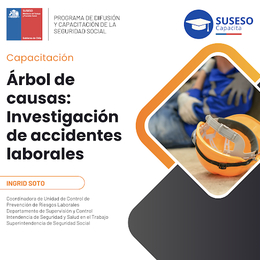 Árbol de Causas, Investigación de Accidentes del Trabajo.