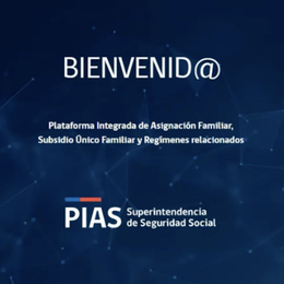 Validaciones de informes financieros en PIAS