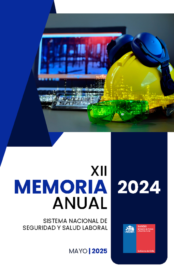 XII Memoria anual sistema nacional de seguridad y salud laboral del año 2024