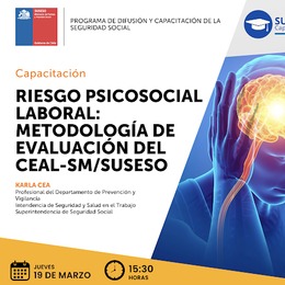 Metodología CEAL-SM/Suseso